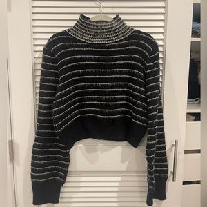 Cropped black and white striped turtleneck